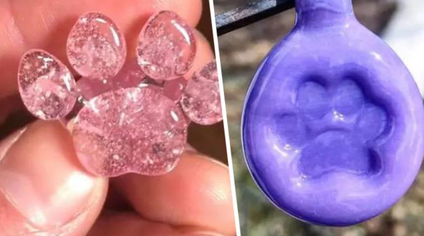 Ölen hayvanların küllerinden bakın ne yapıyorlar!