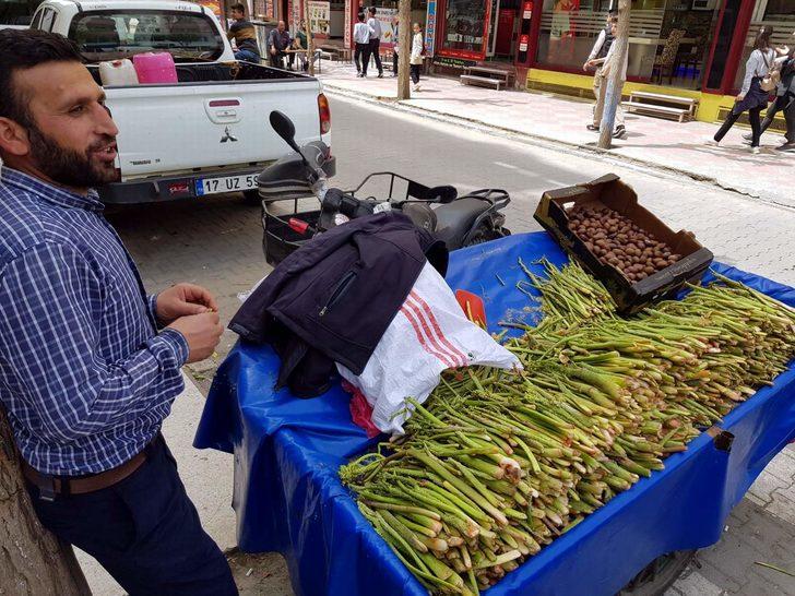 Işgın bitkisi köylülerin geçim kaynağı G2