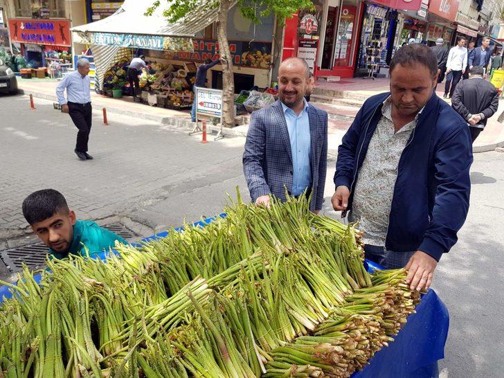 Işgın bitkisi köylülerin geçim kaynağı G4