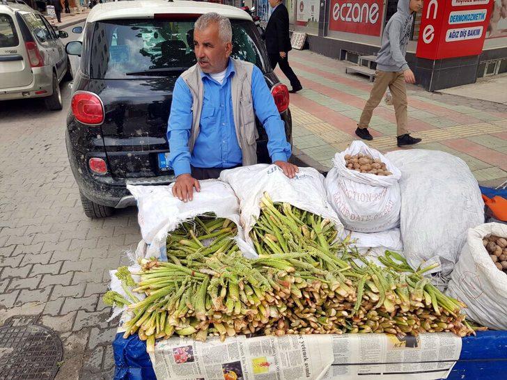 Işgın bitkisi köylülerin geçim kaynağı G1
