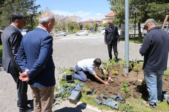 Erzincan’da ağaçlandırma çalışmaları devam ediyor