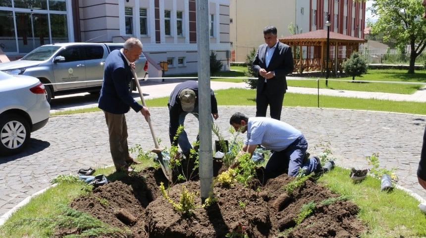 Erzincan&rsquo;da ağa&ccedil;landırma &ccedil;alışmaları devam ediyor