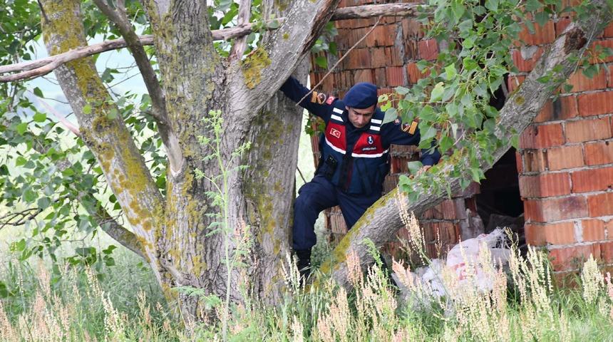 9 gündür kayıp Başak'ı JAK timi arıyor  