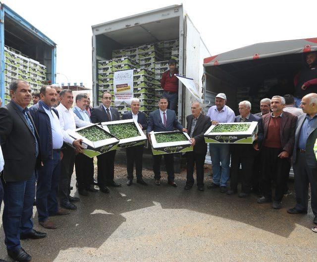 Gaziantep’te üreticiye destek