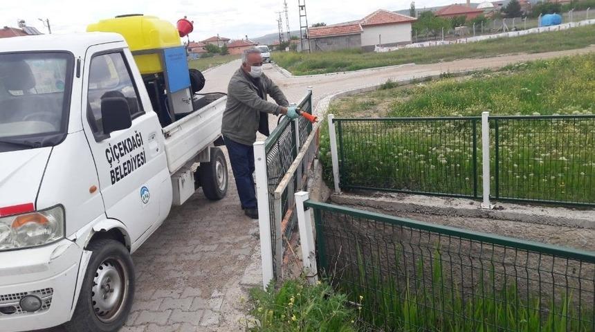 Çiçekdağı Belediyesi, haşere ilaçlama çalışmalarına başladı