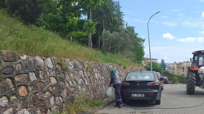 Yabani otlara ila&ccedil;lı &ccedil;&ouml;z&uuml;m