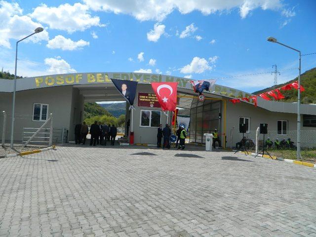 Posof hayvan pazarına kavuştu