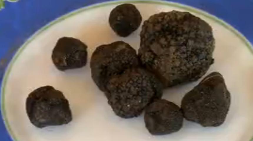 Kilosu 9 bin euroya kadar &ccedil;ıkıyor! K&ouml;peklerle bulunuyor