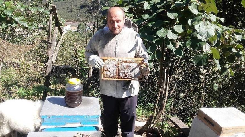 Ordulu arıcılar s&uuml;t sağımına başladı