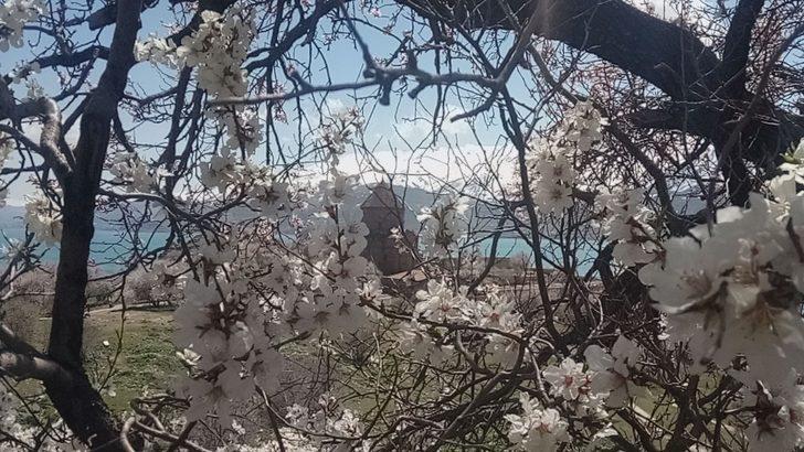 Akdamar Adası şimdi başka güzel G3