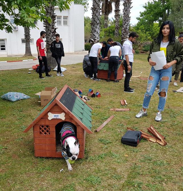 Üniversite öğrencileri hayvanlar için seferber oldu