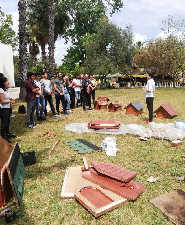 Üniversite öğrencileri hayvanlar için seferber oldu