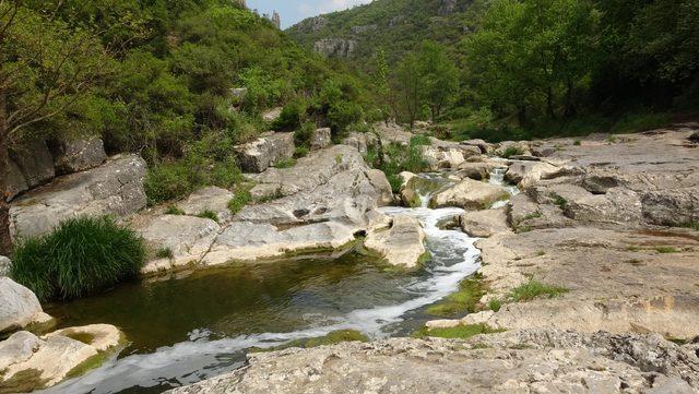Kuzey Marmara Otoyolu'nun geçeceği tabiat parkında 17 bin ağaç kesilecek