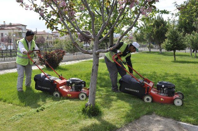 Şuhut Belediyesinde yabani ot ve çim biçme çalışması