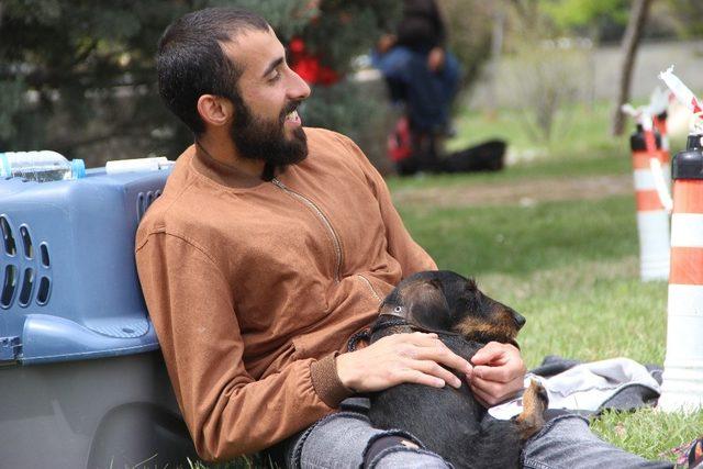 K&ouml;pek ırkları Eskişehir&rsquo;de yarıştı 3