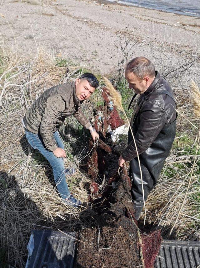 İnci kefali balığını koruma çalışması