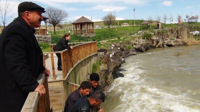 Büyük göç başladı