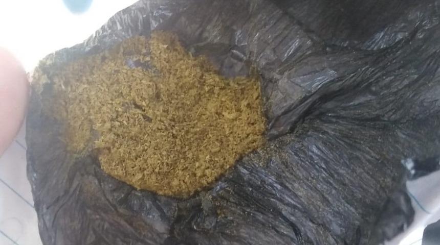 Ş&uuml;pheli şahsın &uuml;zerinden bonzai &ccedil;ıktı