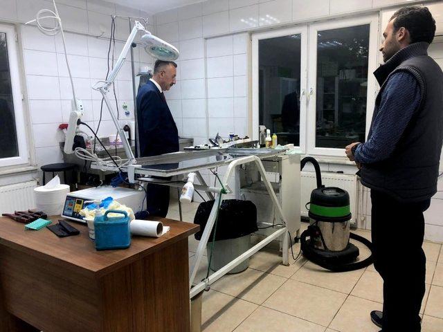 Sahipsiz Hayvanlar Rehabilitasyon projesine start verildi