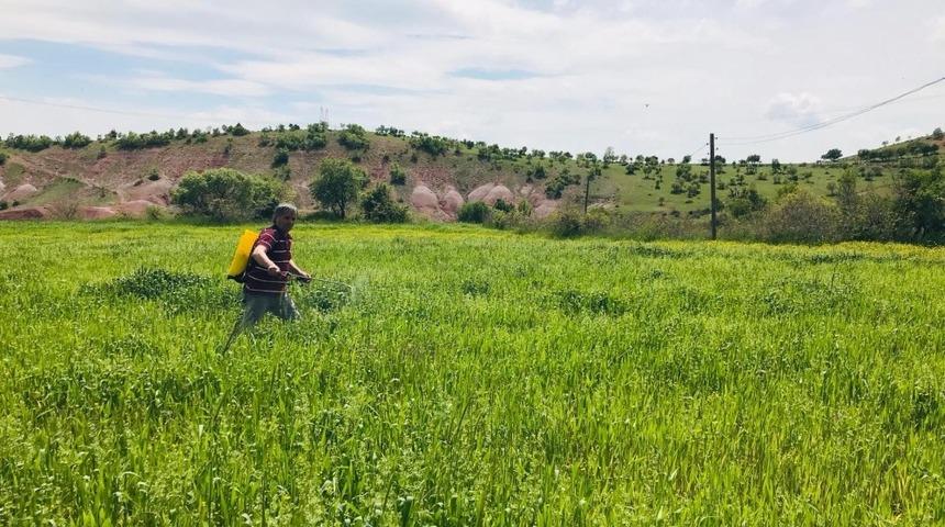 Yağışlardan etkilenen &ccedil;ift&ccedil;i sırt pompasıyla ila&ccedil;lama yaptı