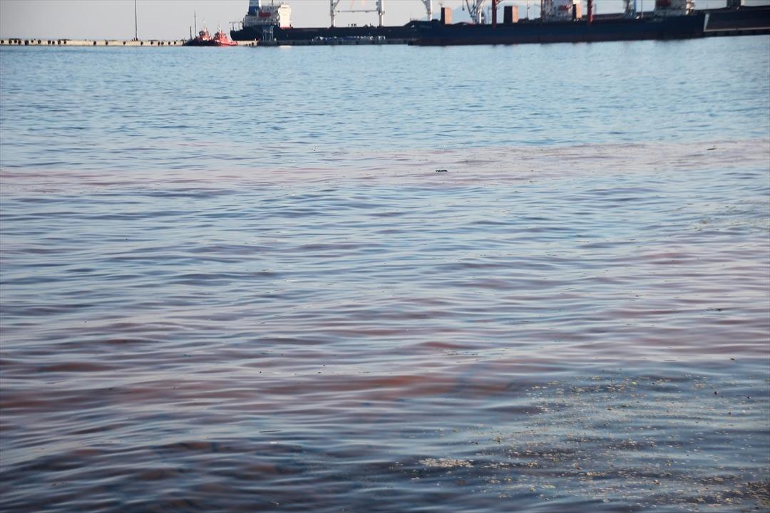 Marmara Denizi'ndeki şaşırtan g&ouml;r&uuml;nt&uuml;n&uuml;n sırrı &ccedil;&ouml;z&uuml;ld&uuml;