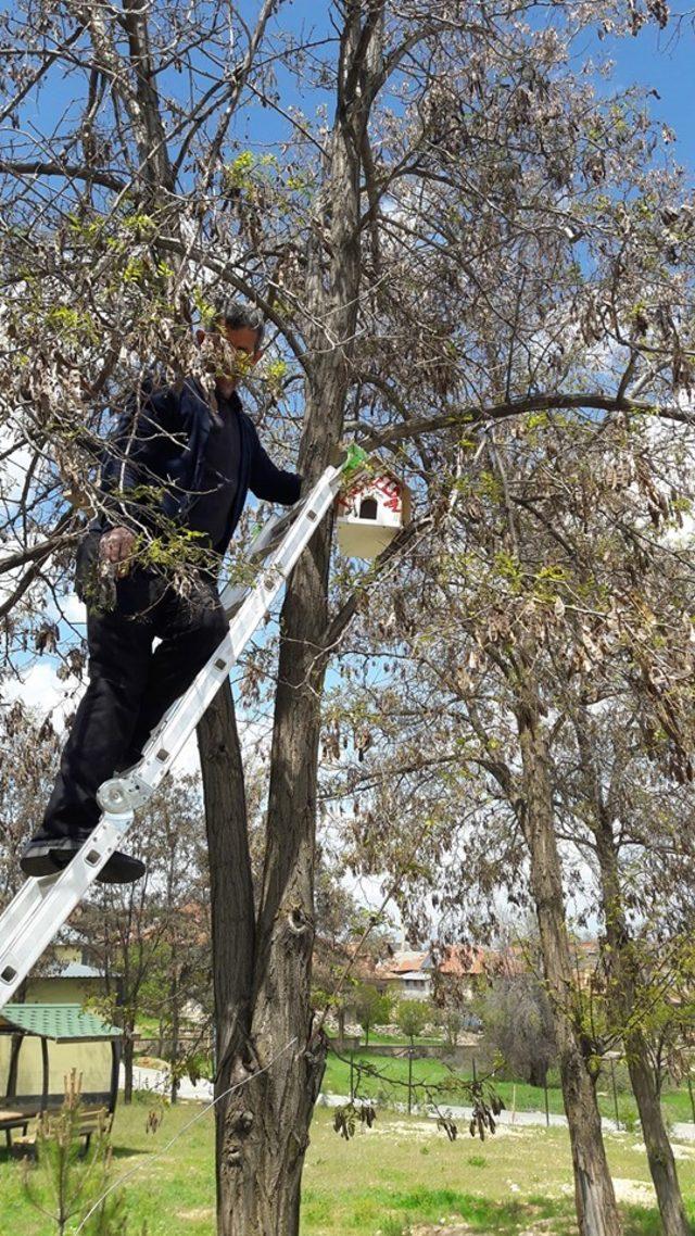 Öğrencilerin hazırladığı kuş yuvaları ağaçlara asıldı