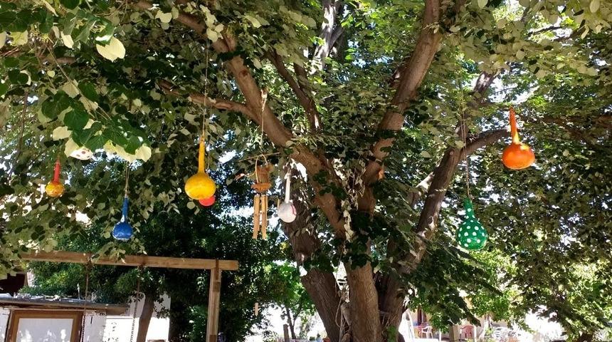 Minikler &ccedil;alışmalarını ağa&ccedil; dallarında sergiledi