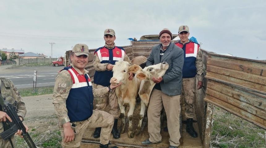 Susuz&rsquo;da &ccedil;aldıkları hayvanları Arpa&ccedil;ay&rsquo;da sattılar