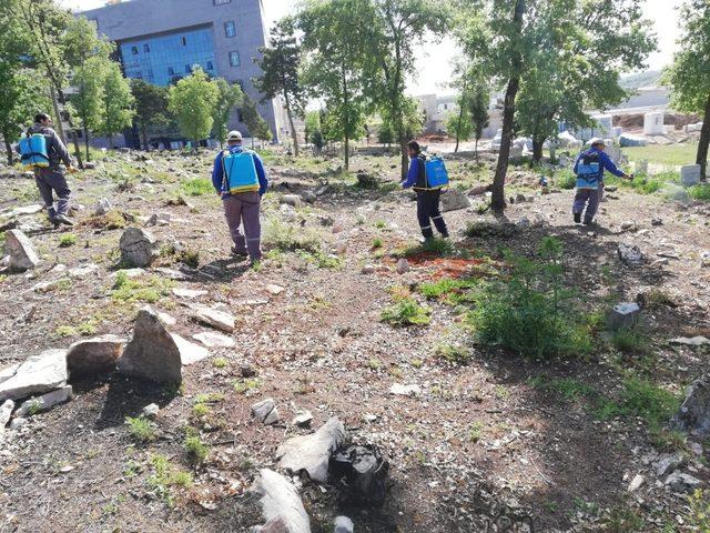 Mezarlıklarda bayram temizliği ve ilaçlama çalışmaları