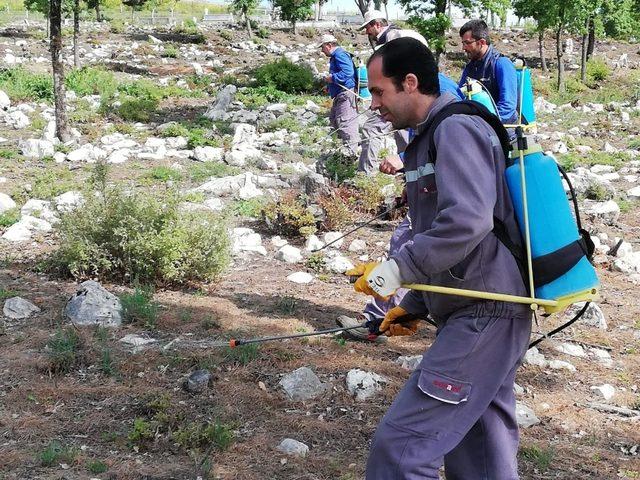 Mezarlıklarda bayram temizliği ve ilaçlama çalışmaları