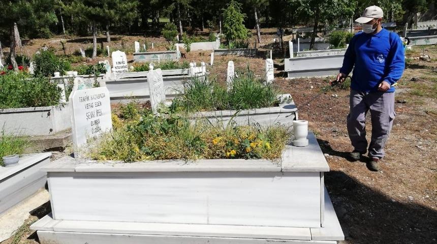 Mezarlıklarda bayram temizliği ve ilaçlama çalışmaları