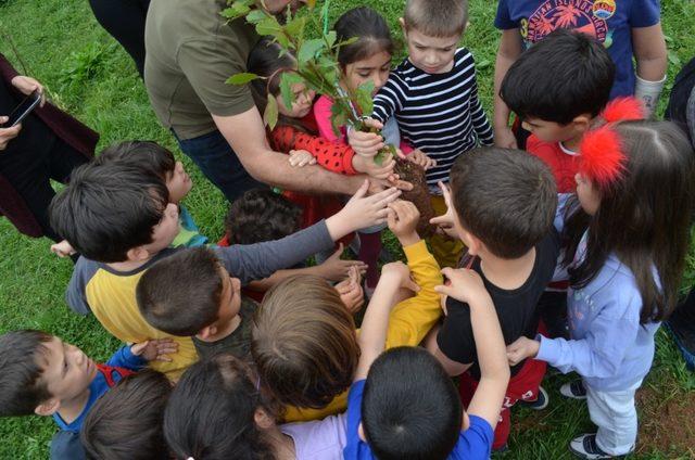 Fidanlar anaokullarında yeşeriyor