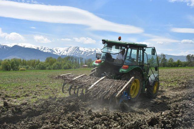 Muş’ta 15 bin dekar alanda pancar ekimi yapıldı