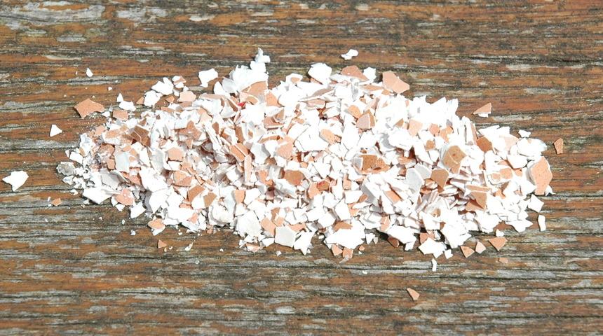 Kadrini Kıymetini Bilemediğimiz Kalsiyum Deposu Yumurta Kabuklarını Kullanmanın 9 Kolay Yolu