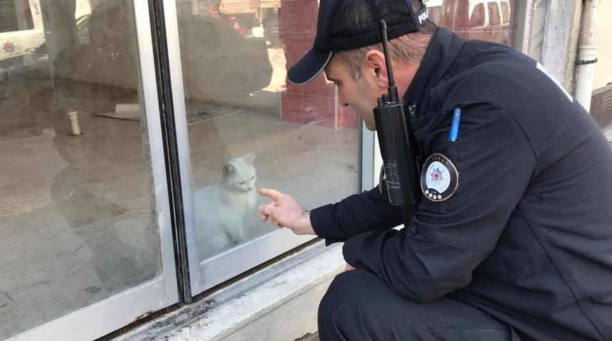 D&uuml;kkanda mahsur kalan kedi i&ccedil;in kurtarma operasyonu