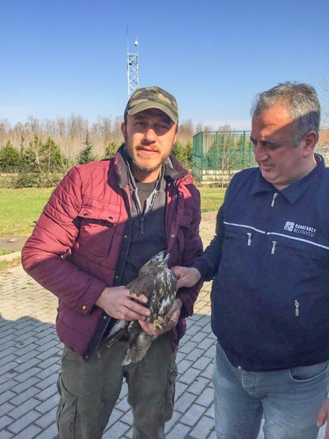 Karacabey Belediyesi hayvanlara sahip çıkıyor