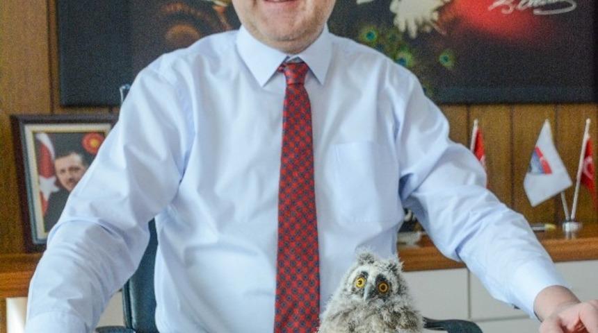 Karacabey Belediyesi hayvanlara sahip &ccedil;ıkıyor