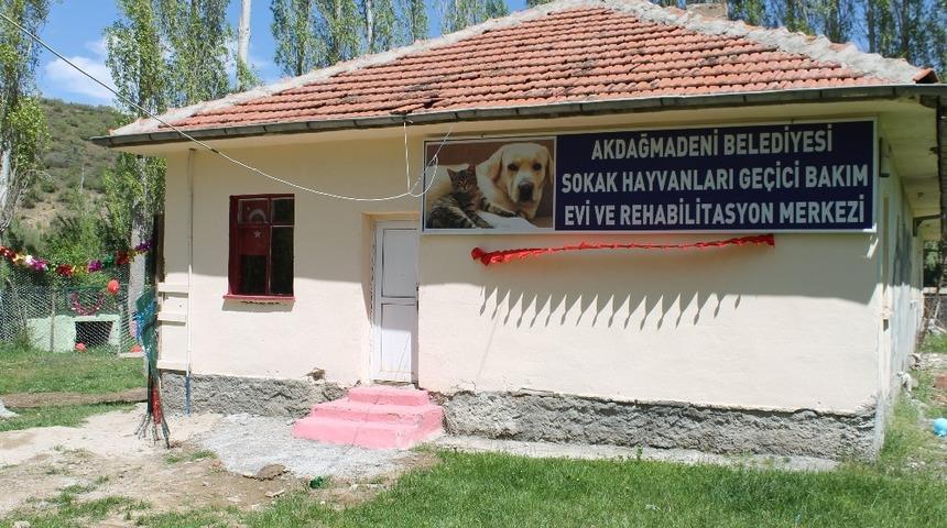 Akdağmadeni&rsquo;nde sokak hayvanlarına bakım evi a&ccedil;ıldı