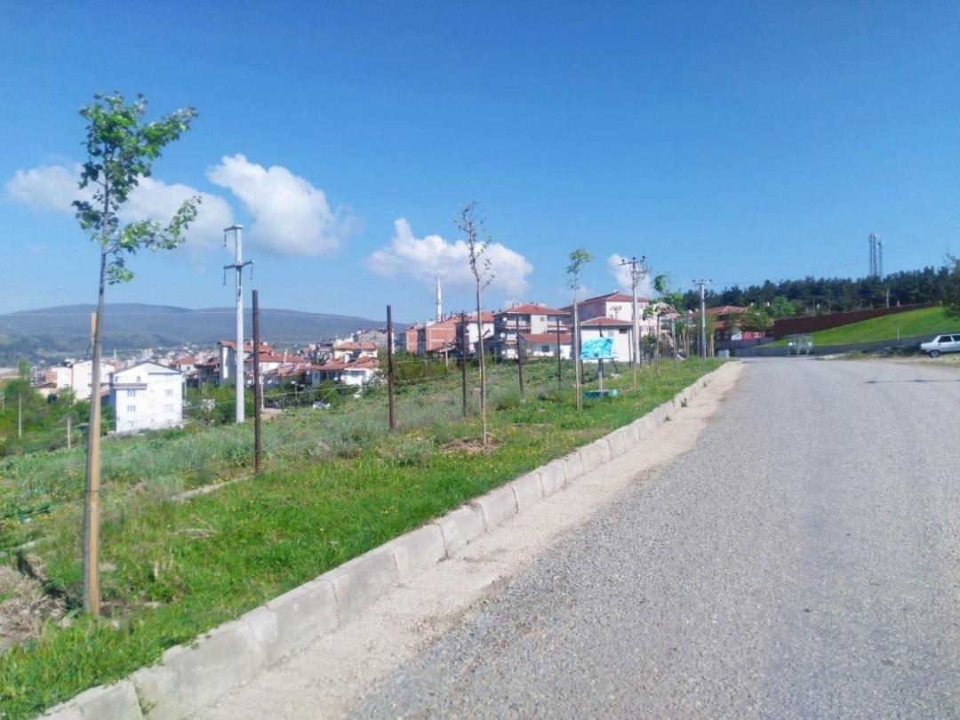 Dursunbey&rsquo;de Yeşil Seferberlik