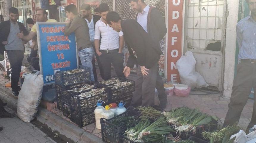 Yayladan topladıkları bitkileri satarak ge&ccedil;imlerini sağlıyorlar