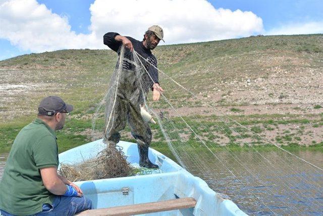 Yamula Barajı’ndan sahipsiz 2 bin 600 metre misina ağ toplandı