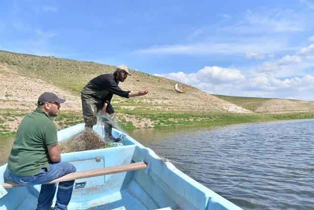 Yamula Barajı’ndan sahipsiz 2 bin 600 metre misina ağ toplandı