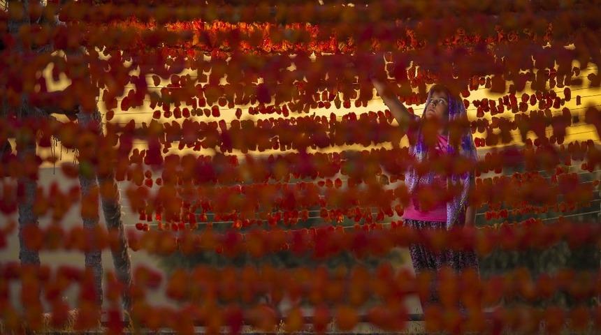 GTB&rsquo;den &lsquo;Gaziantep&rsquo;te hasat mevsimi&rsquo; temalı fotoğraf yarışması