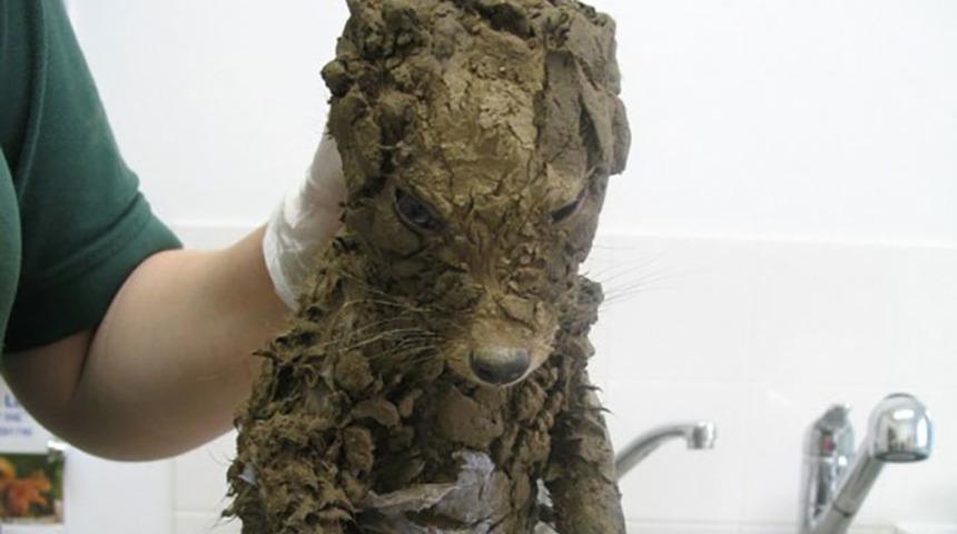 İnşaatta bulundu! Ger&ccedil;ek hastanede ortaya &ccedil;ıktı