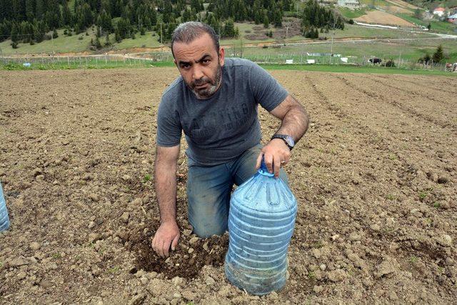 Zirai dona damacanalı çözüm