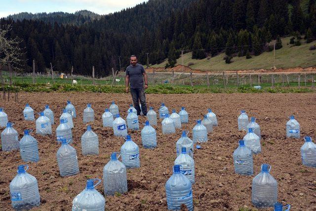 Zirai dona damacanalı çözüm