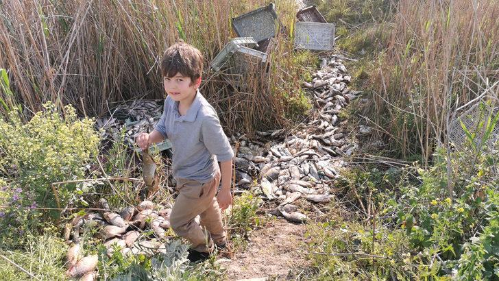 Bursa'da 1 ton balığı, piknik alanına bırakıp kaçtılar G2