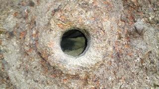 Kaya kartalının yuvası hayran bıraktı