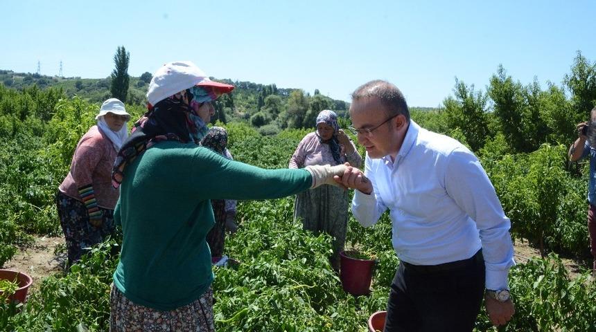 Gıda OSB hem &uuml;reticinin hem t&uuml;keticinin y&uuml;z&uuml;n&uuml; g&uuml;ld&uuml;recek