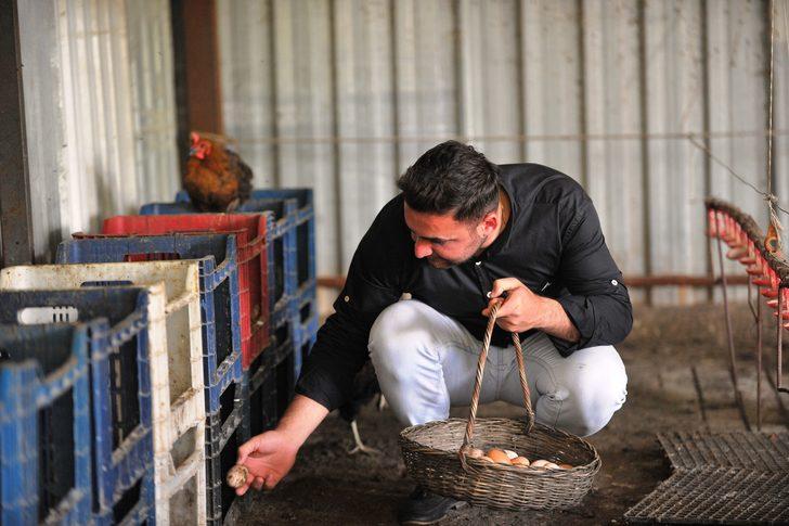 Tavuklara Mozart dinleterek yumurta verimini artırdı   G2